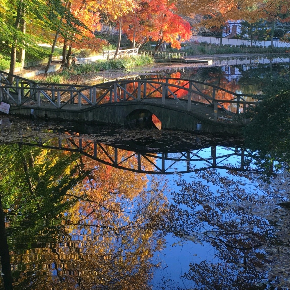 Meet your Posher, Adam